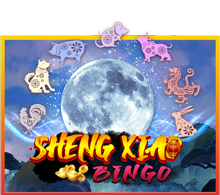 Sheng-Xiao-Bingo-Cover